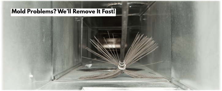 Air Duct Mold Removal in Katy