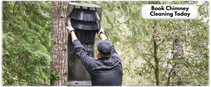 Chimney Cleaning Katy